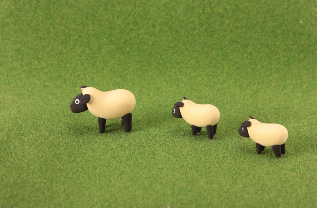 羊のほっこり画像